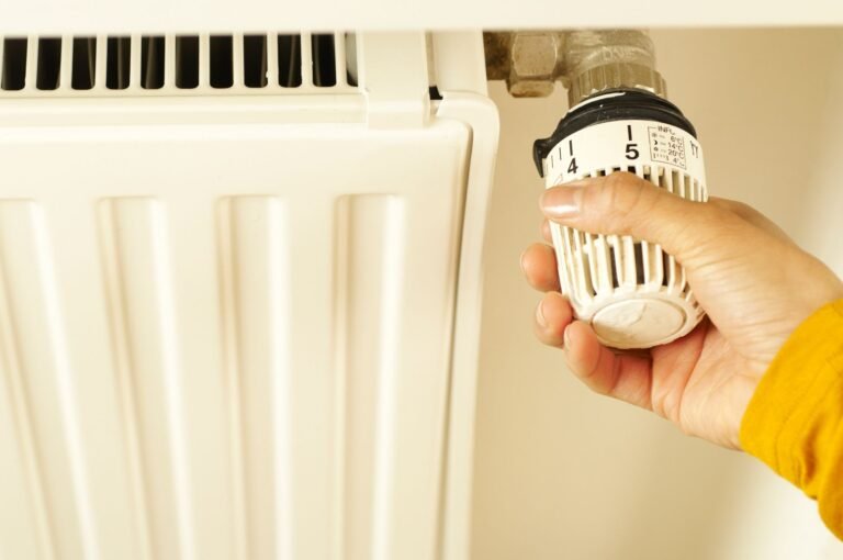 Smart Thermostat Energy Data Visualizations: Which Drive Savings?